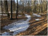 Dolina Zaplaninščice - Koča na Čemšeniški planini